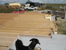 Joists to the stairs