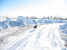 Snow down the driveway