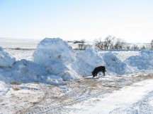 Snow down the driveway