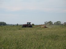 Making hay