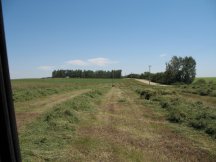 Making hay