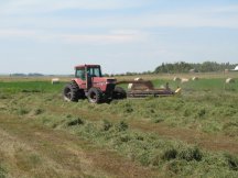 Making hay