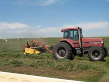 Making hay