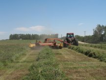 Making hay