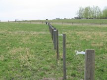 Electric fence insulators