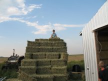 Moving bales