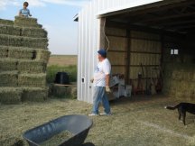 Moving bales