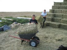 Moving bales