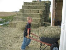 Moving bales