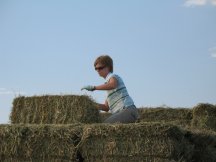 Moving bales