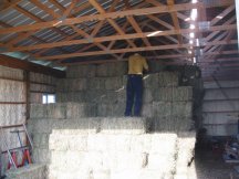 Moving bales