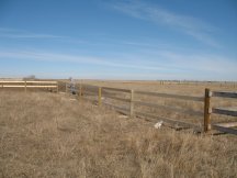 Working on the north pasture fence