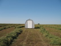 Garden Shed