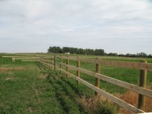 South barnyard fence is done