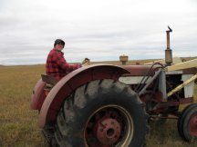 Tracy on the Tractor