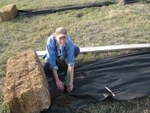 Tracy planting trees