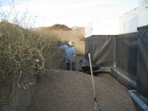 Tracy shovelling gravel