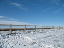 West fence of the arena