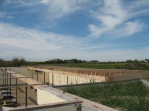 All joists done on the back of the house
