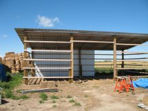 Back of the shed