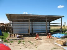 Back of the shed
