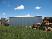 Back of the shed