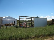 Back of the shed