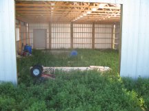 Even the barn is overgrown