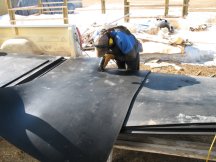 Cutting mats