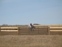 Tracy takes her first ride in the new arena