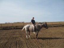 Tracy takes her first ride in the new arena