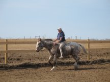 Tracy takes her first ride in the new arena