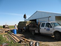 Our first hay sale