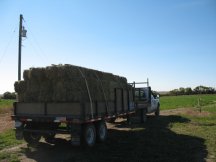 Our first hay sale
