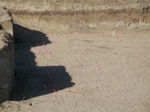 Laying out the house again in the bottom of the pit