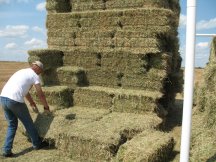 Moving bales
