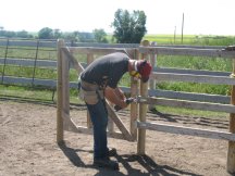 New horse stalls