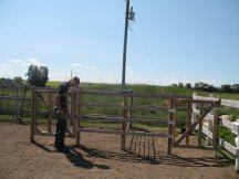 New horse stalls