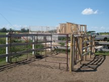 New horse stalls