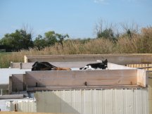Pets sleep on the front porch