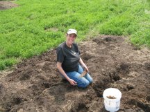 Planting Asparagus