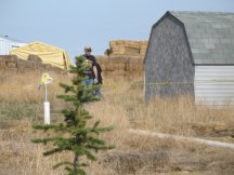 Pulling the shed into its final place