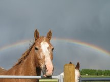 The most incredible rainbow