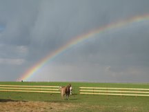 The most incredible rainbow