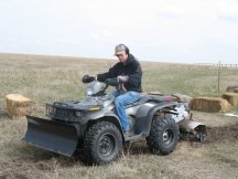 Rototilling for the poplars