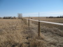 We get a second strand up on the fence