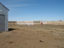 Spraypainting the barnyard