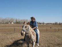 Tracy plays with cows