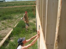 Tracy sheathing