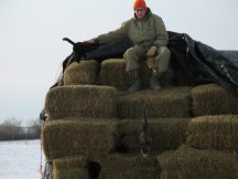 Tracy waits for our hay customers
